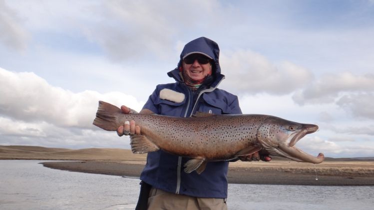 Trucha marrón macho en el Río Menéndez - Tierra del Fuego - Argentina