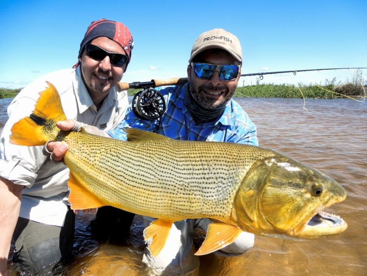 En los bancos se logran muy buenos dorados, en La Paz, Entre Ríos, Argentina. Partes de nuestros viajes que brindamos.