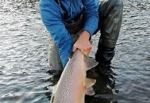  Foto de Pesca con Mosca de Salmo trutta compartida por Lucas Amestoy | Fly dreamers