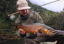  Fotografía de Pesca con Mosca de Salmo fario por Matapiojo  Lodge | Fly dreamers