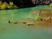 Fly fishing picture