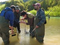 Fly fishing picture