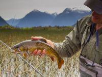 Fly fishing picture