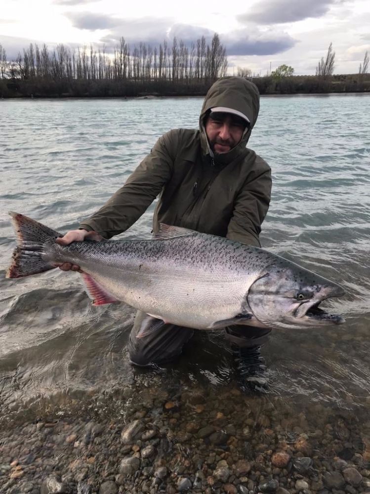 Massive chromers chinook scouting soon in Santa Cruz