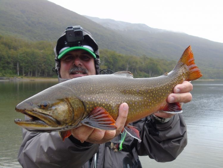 Brook Trout on lagoon of Tierra Del Fuego, Patagonia.