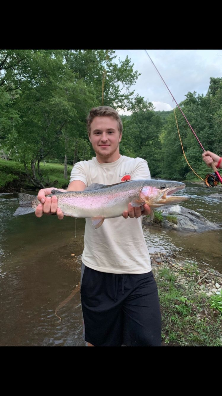 25 inch north Georgia rainbow