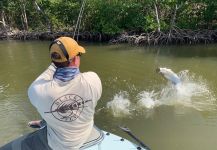 Everglades national park, Miami, Florida, United States