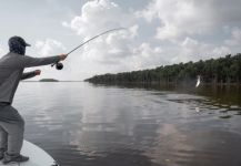 Everglades national park, Miami, Florida, United States