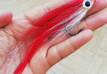 Bucktail streamer