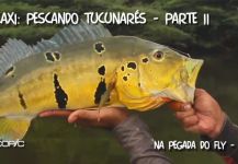 Kid Ocelos 's Fly-fishing Photo of a Peacock Bass | Fly dreamers 