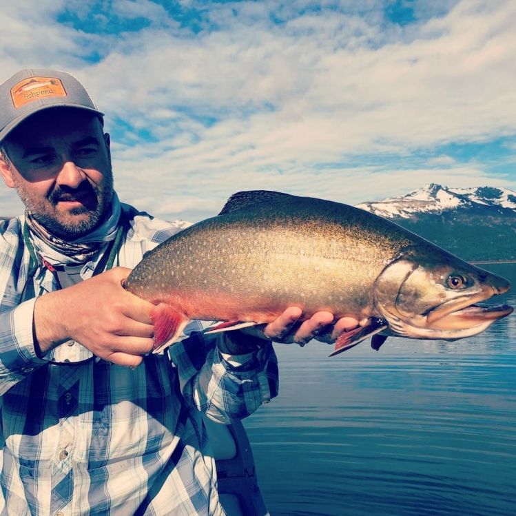 Noviembre esta que arde!
#brookies #fontinalis #fontinalisflyfishing #flyfishing #berta #salveniusfontinalis #salmonidae #pescaconmosca #patagoniaargentina