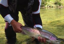 Fly-fishing Image of Rainbow trout shared by Flyfishingodec Slovenia | Fly dreamers