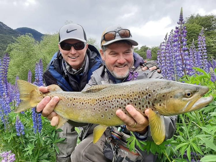 A mosca seca...un metro de distancia entre el pescador y esta marron, tapados por lupinus 