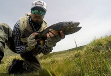 Fly-fishing Pic of Salmo trutta shared by Nelo  Cesaretti | Fly dreamers 