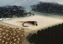 Ariel Garcia Monteavaro 's Fly for Rainbow trout - | Fly dreamers 