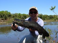 Fly fishing picture