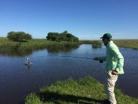 Fly fishing picture