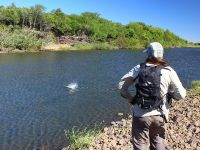 Fly fishing picture