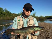 Fly fishing picture