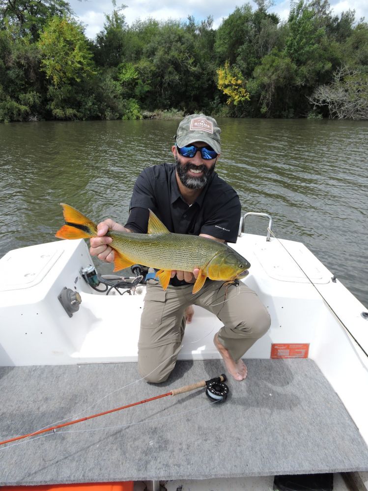 GD from Rio Negro River! Beautiful colors!