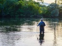 Fly fishing on Cetina