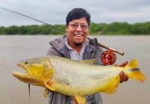  Fotografía de Pesca con Mosca de Golden dorado compartida por Néstor Zapana | Fly dreamers