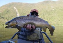  Foto de Pesca con Mosca de Trucha marrón por Fly Fishing Futaleufu | Fly dreamers 