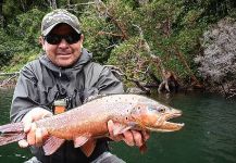 Matapiojo  Lodge 's Fly-fishing Catch of a brown trout | Fly dreamers 