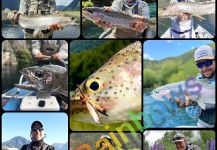 Fly-fishing Pic of Rainbow trout shared by Matapiojo  Lodge | Fly dreamers 