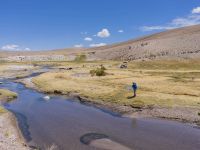 Fly fishing picture