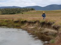 Fly fishing picture