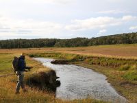 Fly fishing picture