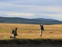 Fly fishing picture