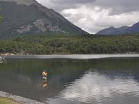 Foto de pesca con mosca