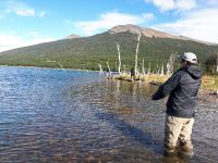 Fly fishing picture