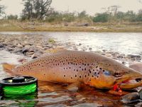 Foto de pesca con mosca