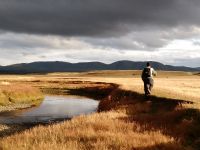 Fly fishing picture