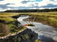 Fly fishing picture