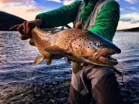 Foto de pesca con mosca