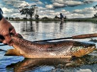 Fly fishing picture