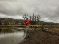 Fly fishing picture