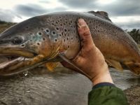 Fly fishing picture