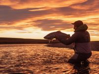 Foto de pesca con mosca