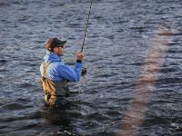 Fly fishing picture