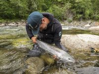 Fly fishing picture