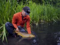 Fly fishing picture