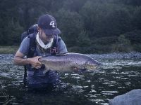 Fly fishing picture