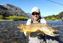 European brown trout Fly-fishing Situation – Matapiojo  Lodge shared this Good Image in Fly dreamers 