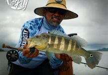 Kid Ocelos 's Fly-fishing Picture of a Peacock Bass | Fly dreamers 