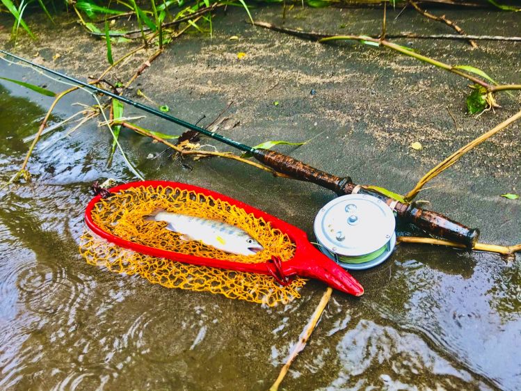 Yamane with Maki net.at high water home river.©︎Maki.July13th 2020.